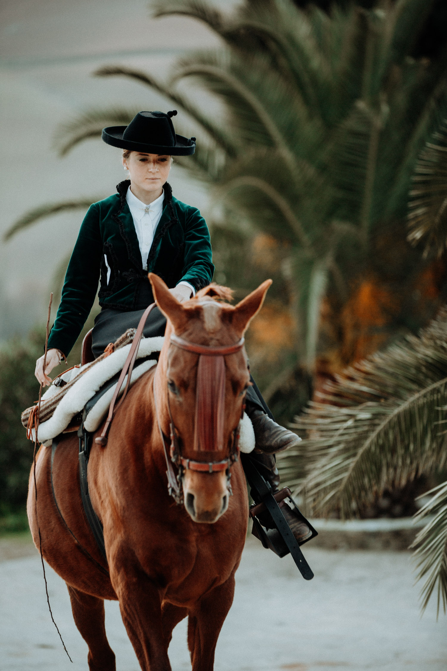 Pferdefotografin Pferdeshooting Pferdefotos Pferdefotografie Workshop Coaching Kurs Bildbearbeitung Photoshop Lightroom Schweiz Tabitha Roth Andalusien Fototour Spanien