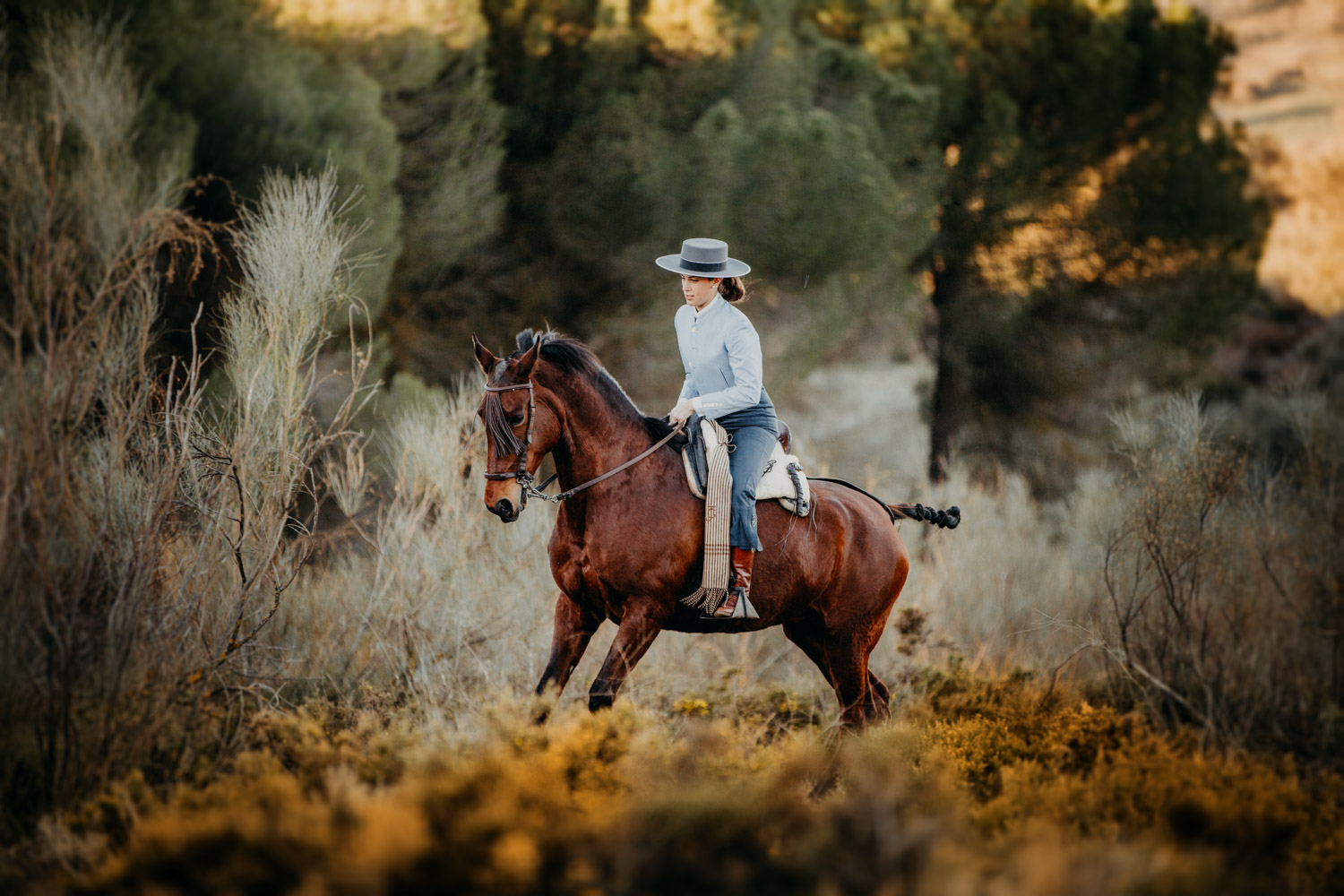 Pferdefotografin Pferdeshooting Pferdefotos Pferdefotografie Workshop Coaching Kurs Bildbearbeitung Photoshop Lightroom Schweiz Tabitha Roth Andalusien Fototour Spanien