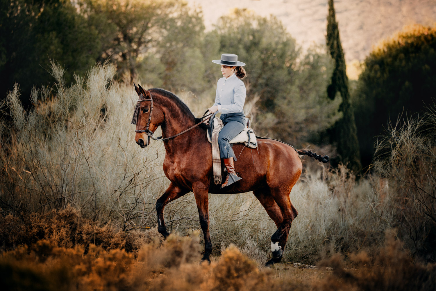 Pferdefotografin Pferdeshooting Pferdefotos Pferdefotografie Workshop Coaching Kurs Bildbearbeitung Photoshop Lightroom Schweiz Tabitha Roth Andalusien Fototour Spanien