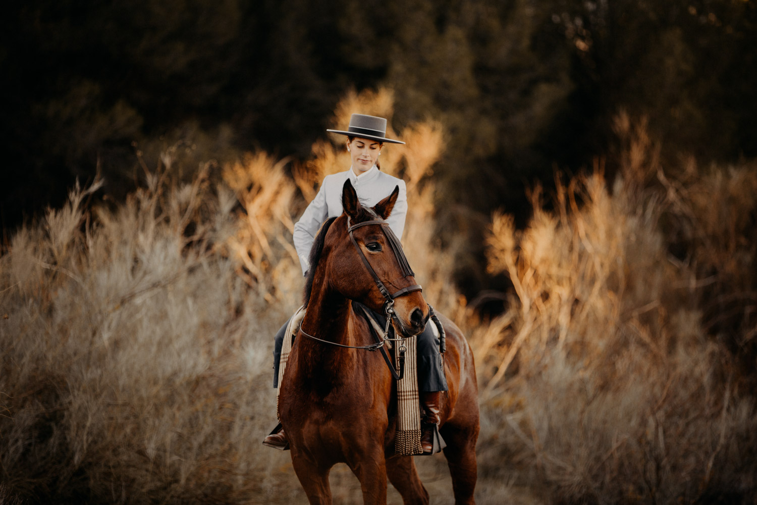 Pferdefotografin Pferdeshooting Pferdefotos Pferdefotografie Workshop Coaching Kurs Bildbearbeitung Photoshop Lightroom Schweiz Tabitha Roth Andalusien Fototour Spanien