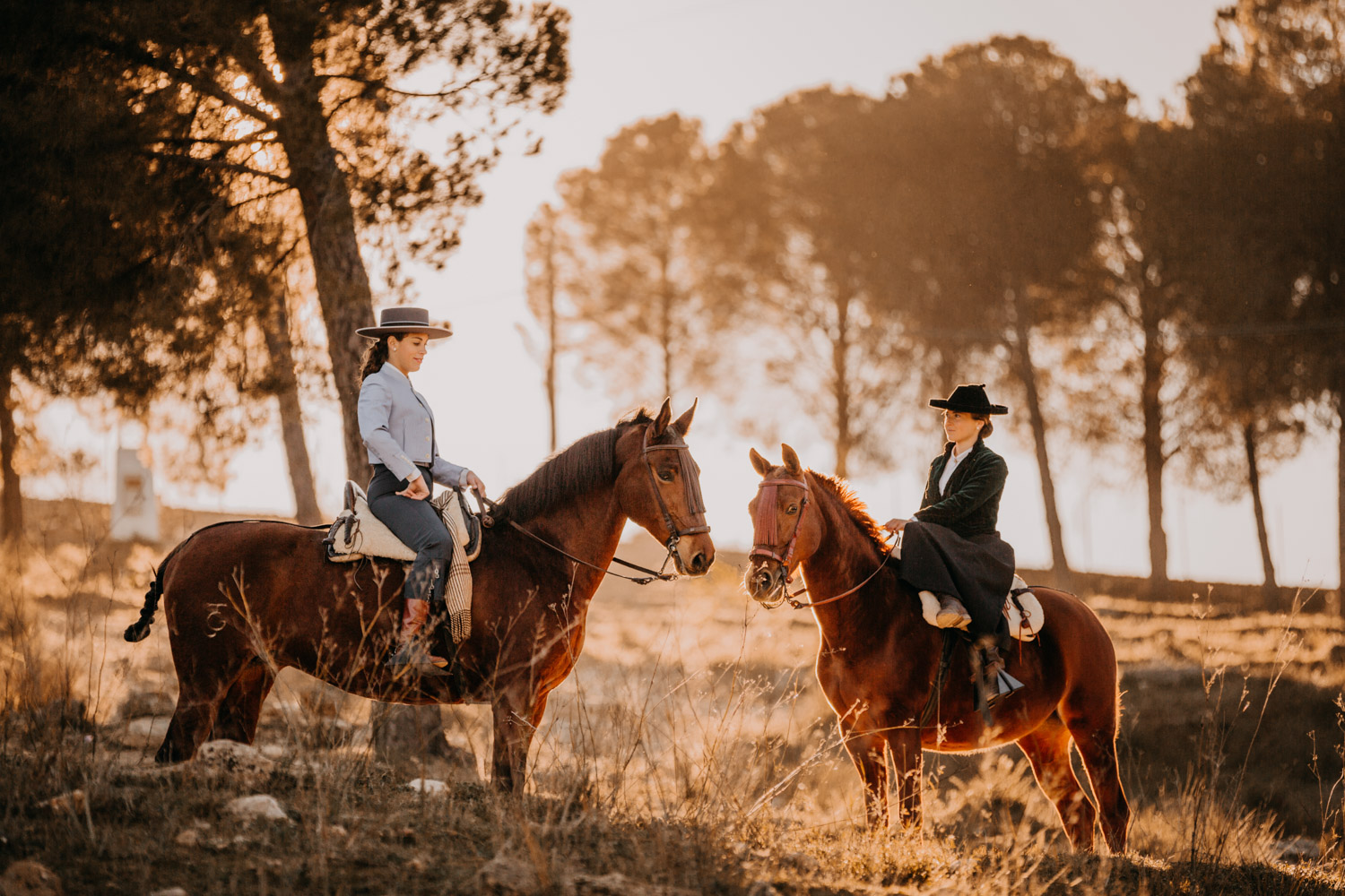 Pferdefotografin Pferdeshooting Pferdefotos Pferdefotografie Workshop Coaching Kurs Bildbearbeitung Photoshop Lightroom Schweiz Tabitha Roth Andalusien Fototour Spanien