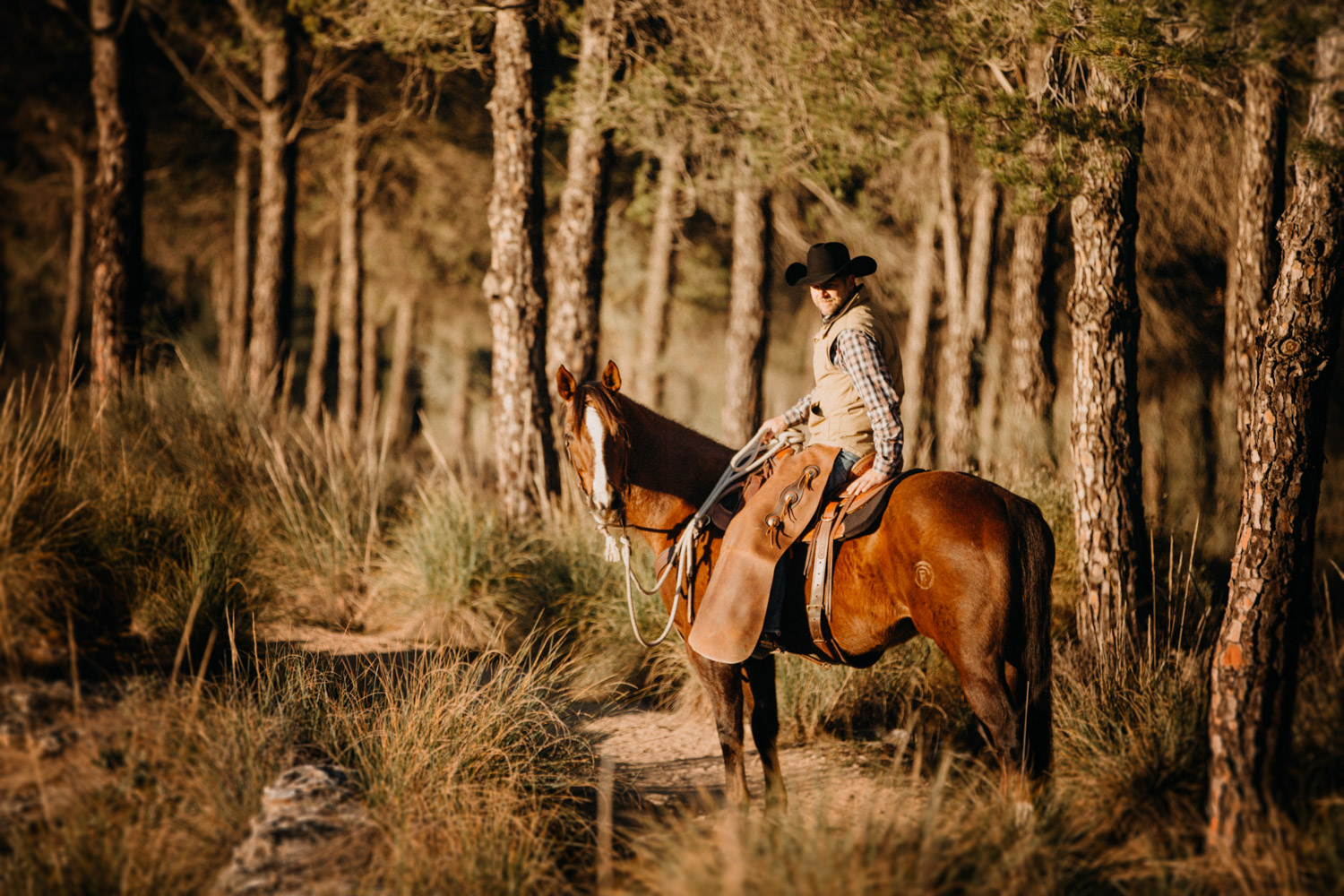 Pferdefotografin Pferdeshooting Pferdefotos Pferdefotografie Workshop Coaching Kurs Bildbearbeitung Photoshop Lightroom Schweiz Tabitha Roth Andalusien Fototour Spanien