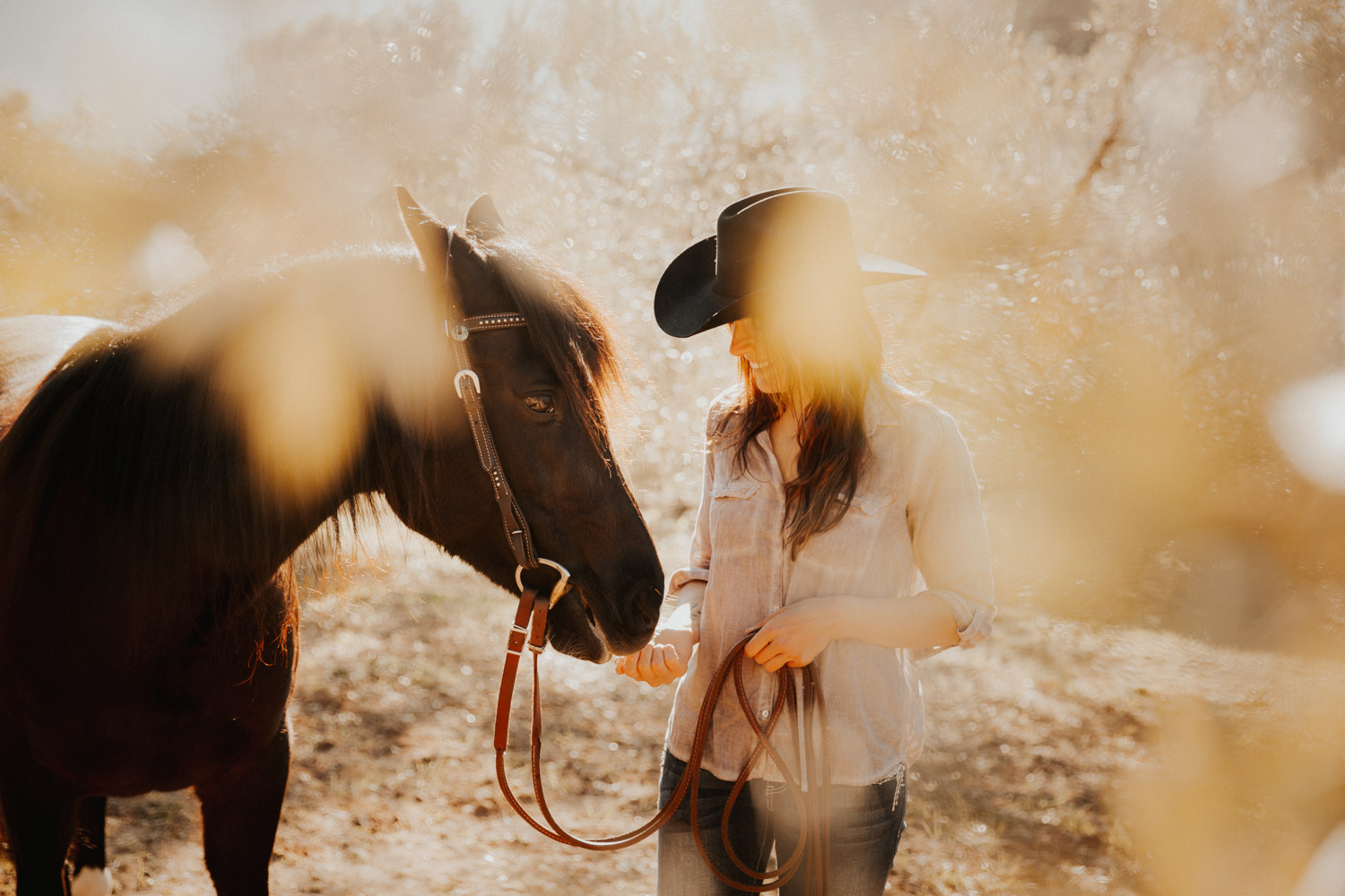 Pferdefotografin Pferdeshooting Pferdefotos Pferdefotografie Workshop Coaching Kurs Bildbearbeitung Photoshop Lightroom Schweiz Tabitha Roth Andalusien Fototour Spanien