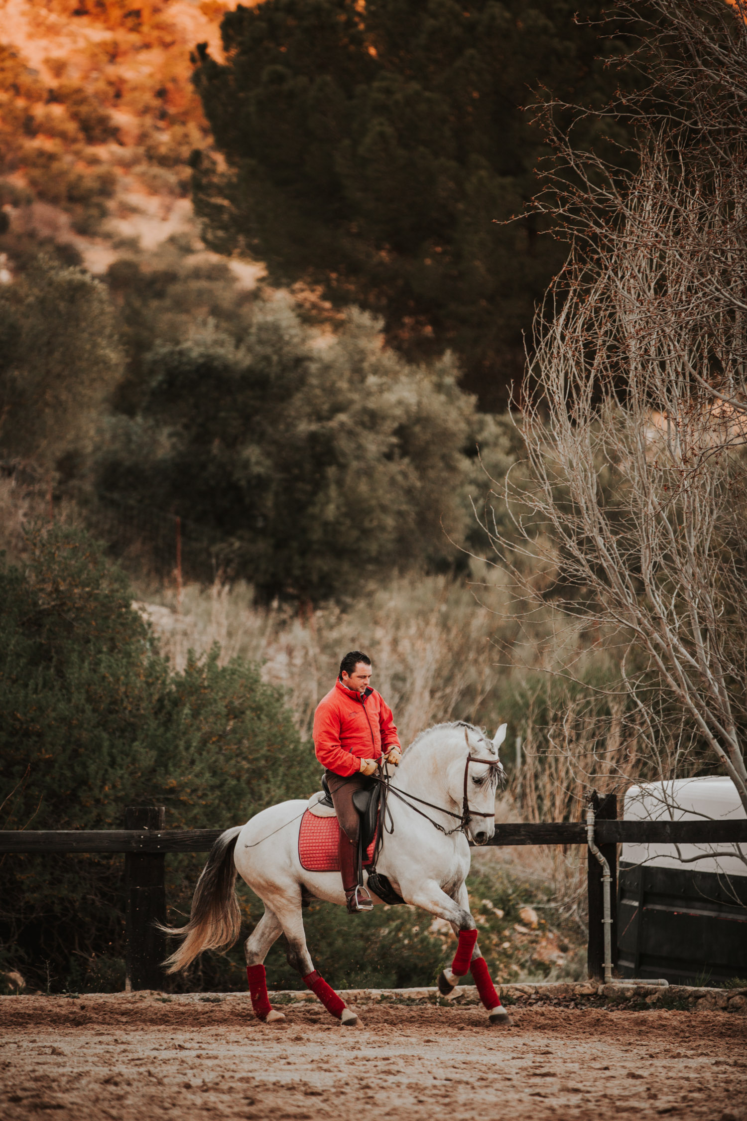 Pferdefotografin Pferdeshooting Pferdefotos Pferdefotografie Workshop Coaching Kurs Bildbearbeitung Photoshop Lightroom Schweiz Tabitha Roth Ronda Spanien Andalusien