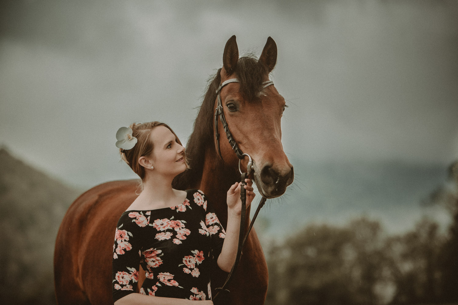 Pferdefotografin Pferdeshooting Pferdefotos Pferdefotografie Workshop Coaching Kurs Bildbearbeitung Photoshop Lightroom Schweiz Tabitha Roth Aargau