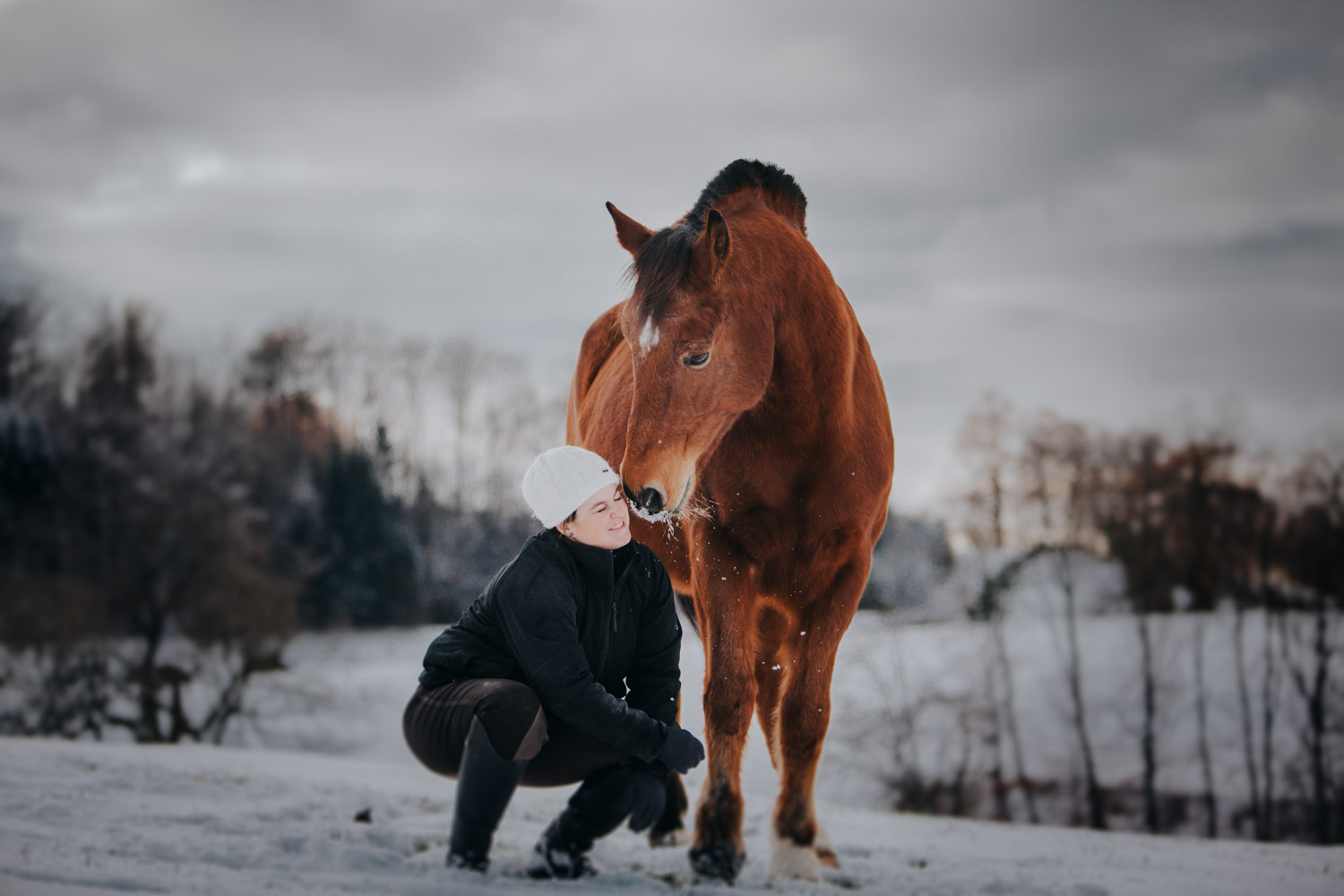 Pferdefotografin Pferdeshooting Pferdefotos Pferdefotografie Workshop Coaching Kurs Bildbearbeitung Photoshop Lightroom Schweiz Tabitha Roth Aargau