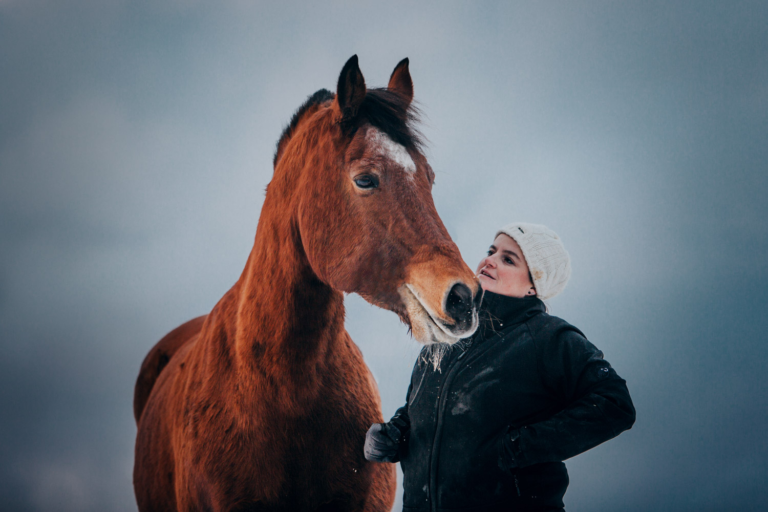 Pferdefotografin Pferdeshooting Pferdefotos Pferdefotografie Workshop Coaching Kurs Bildbearbeitung Photoshop Lightroom Schweiz Tabitha Roth Aargau