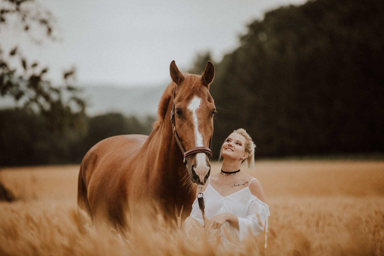 Pferdefotografin Pferdeshooting Pferdefotos Pferdefotografie Workshop Coaching Kurs Bildbearbeitung Photoshop Lightroom Schweiz Tabitha Roth Aargau