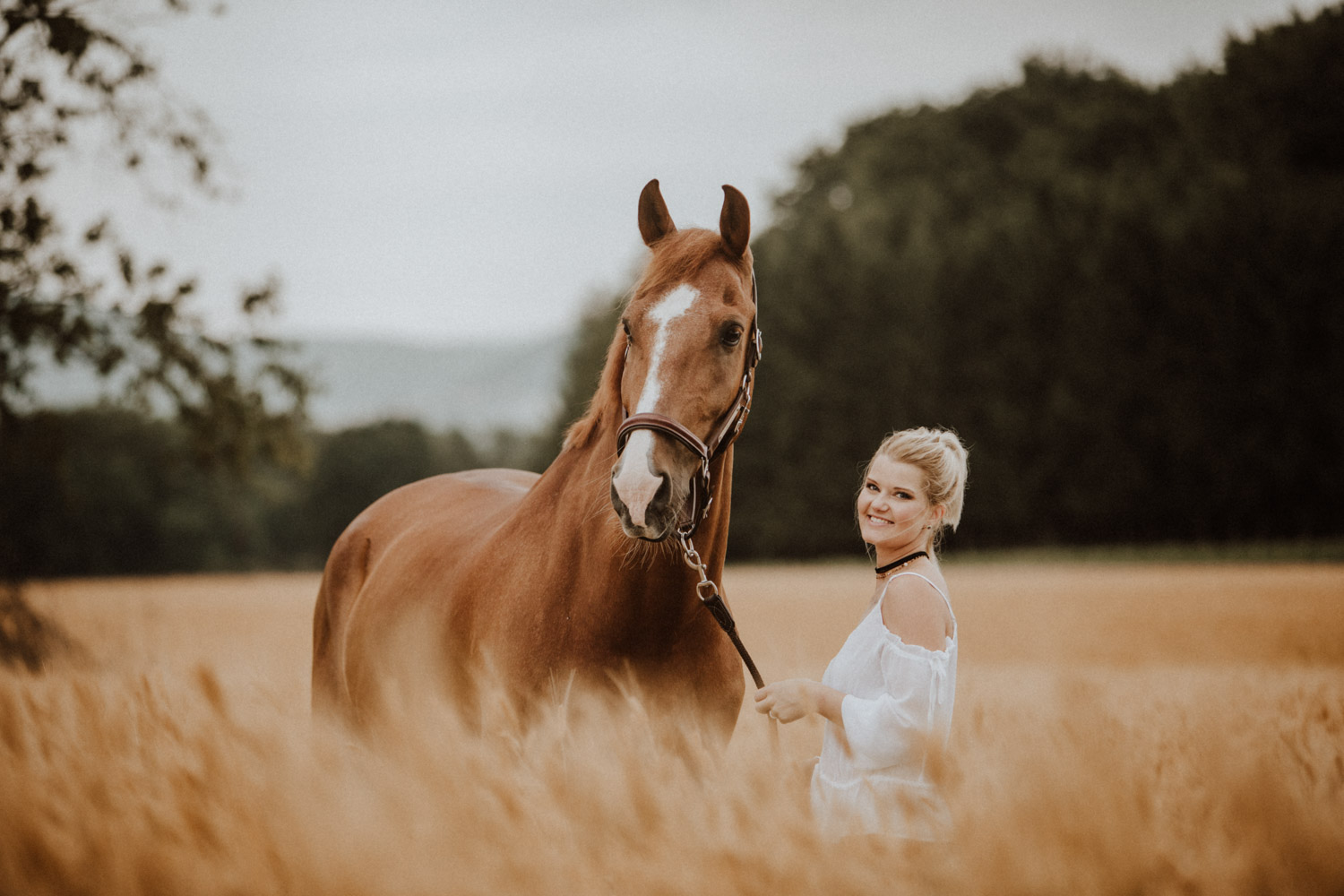 Pferdefotografin Pferdeshooting Pferdefotos Pferdefotografie Workshop Coaching Kurs Bildbearbeitung Photoshop Lightroom Schweiz Tabitha Roth Aargau