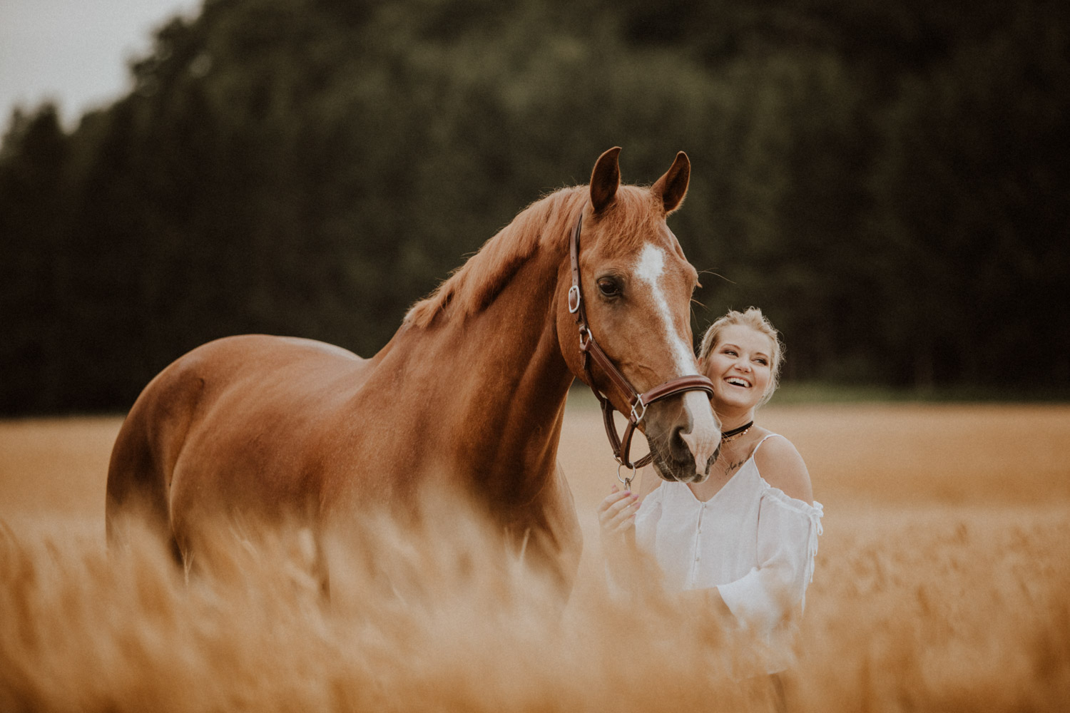 Pferdefotografin Pferdeshooting Pferdefotos Pferdefotografie Workshop Coaching Kurs Bildbearbeitung Photoshop Lightroom Schweiz Tabitha Roth Aargau