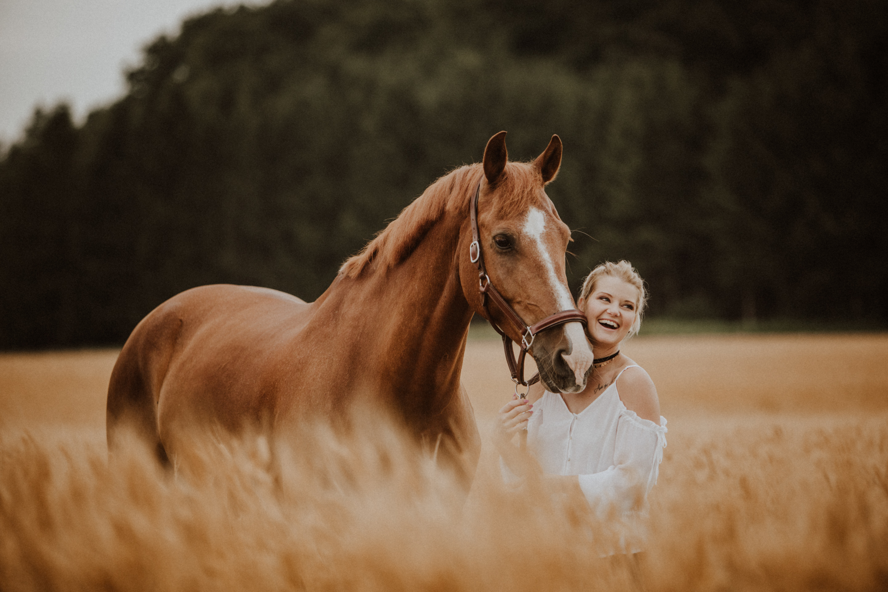 Pferdefotografin Pferdeshooting Pferdefotos Pferdefotografie Workshop Coaching Kurs Bildbearbeitung Photoshop Lightroom Schweiz Tabitha Roth Aargau