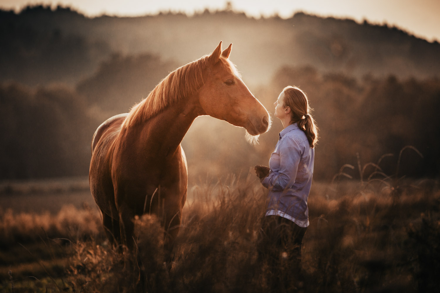 Pferdefotografin Pferdeshooting Pferdefotos Pferdefotografie Workshop Coaching Kurs Bildbearbeitung Photoshop Lightroom Schweiz Tabitha Roth Aargau