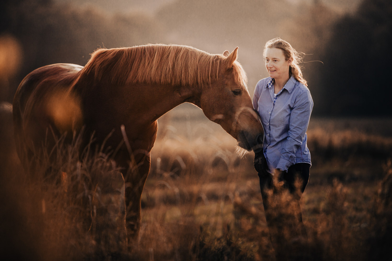 Pferdefotografin Pferdeshooting Pferdefotos Pferdefotografie Workshop Coaching Kurs Bildbearbeitung Photoshop Lightroom Schweiz Tabitha Roth Aargau