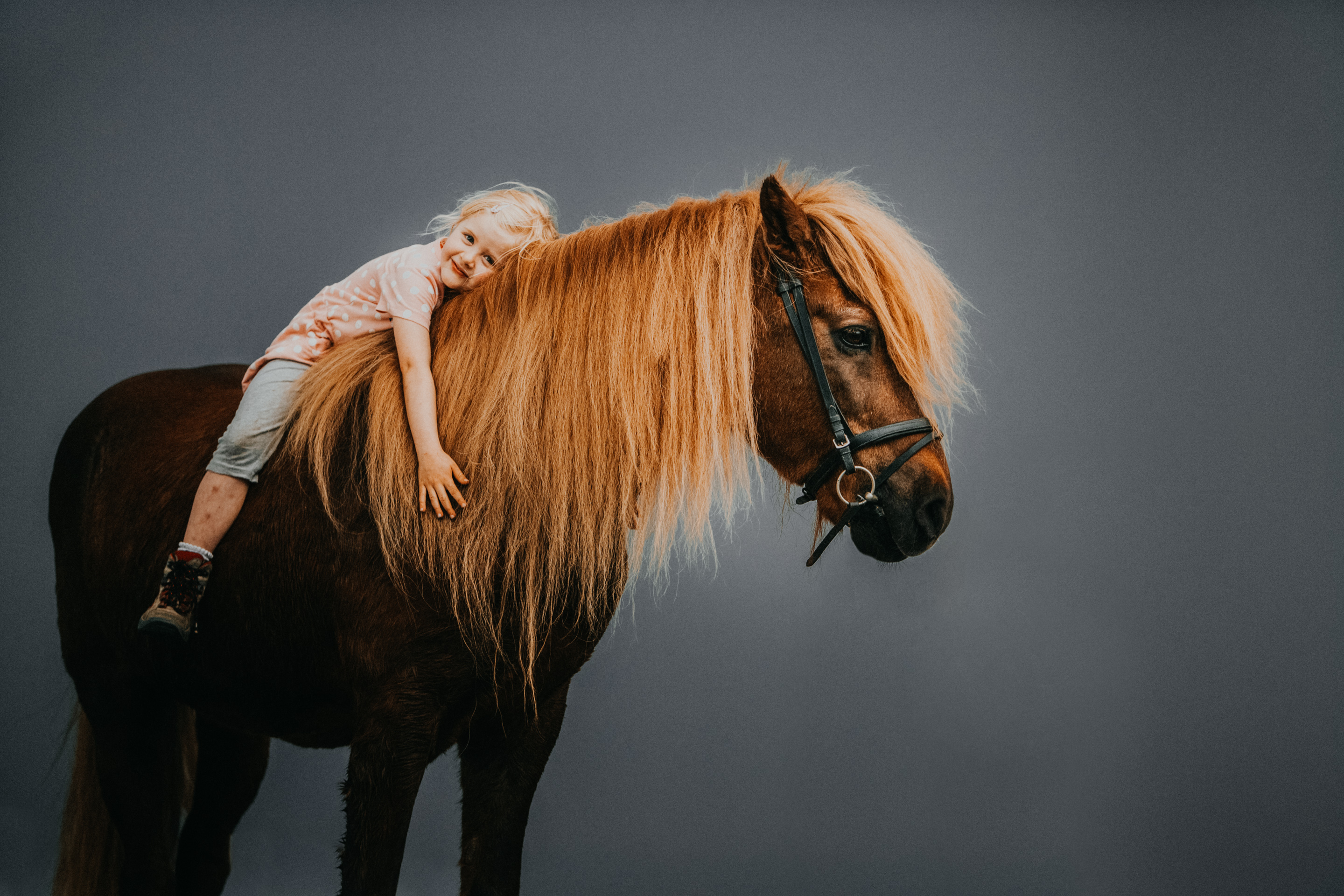 Pferdefotografin Pferdeshooting Pferdefotos Pferdefotografie Workshop Coaching Kurs Bildbearbeitung Photoshop Lightroom Schweiz Tabitha Roth Aargau