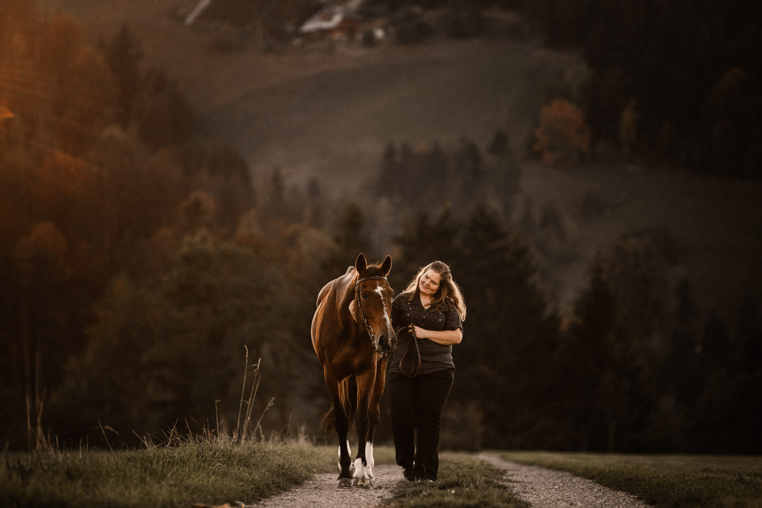 Pferdeshooting in Bern Schweiz Pferdefotografin natürliche Pferdefotos altes Pferd Stute Gegenlicht