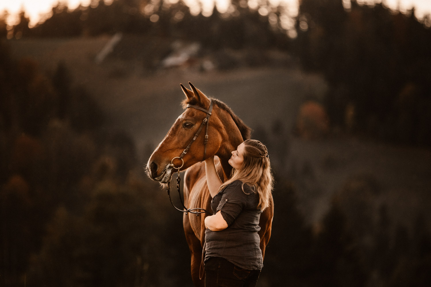 Pferdeshooting in Bern Schweiz Pferdefotografin natürliche Pferdefotos altes Pferd Stute Gegenlicht