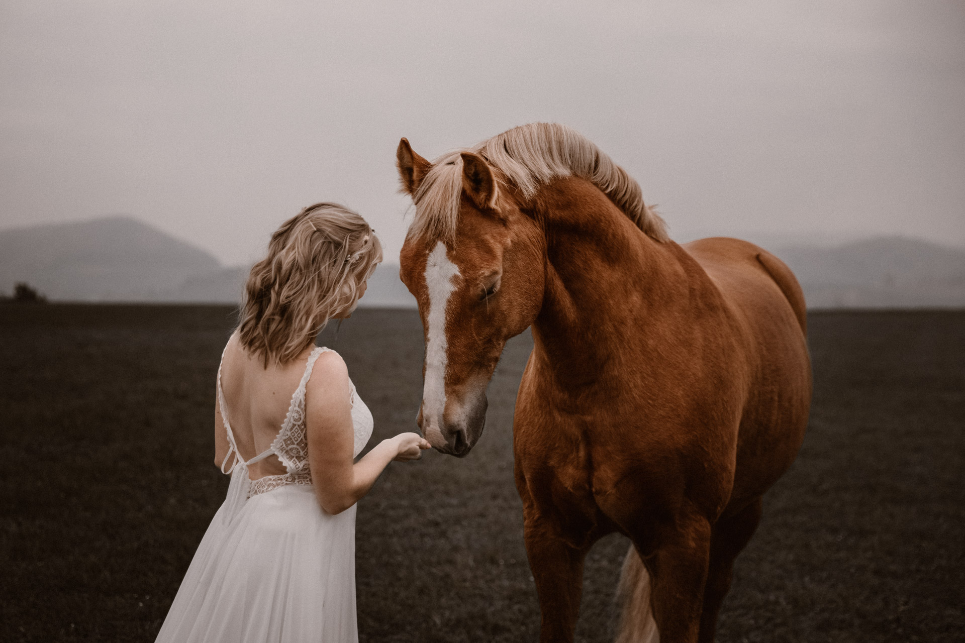 Tabitha Roth Pferdefotografin Schweiz Pferdeshooting Freiberger Hochzeitskleid Braut
