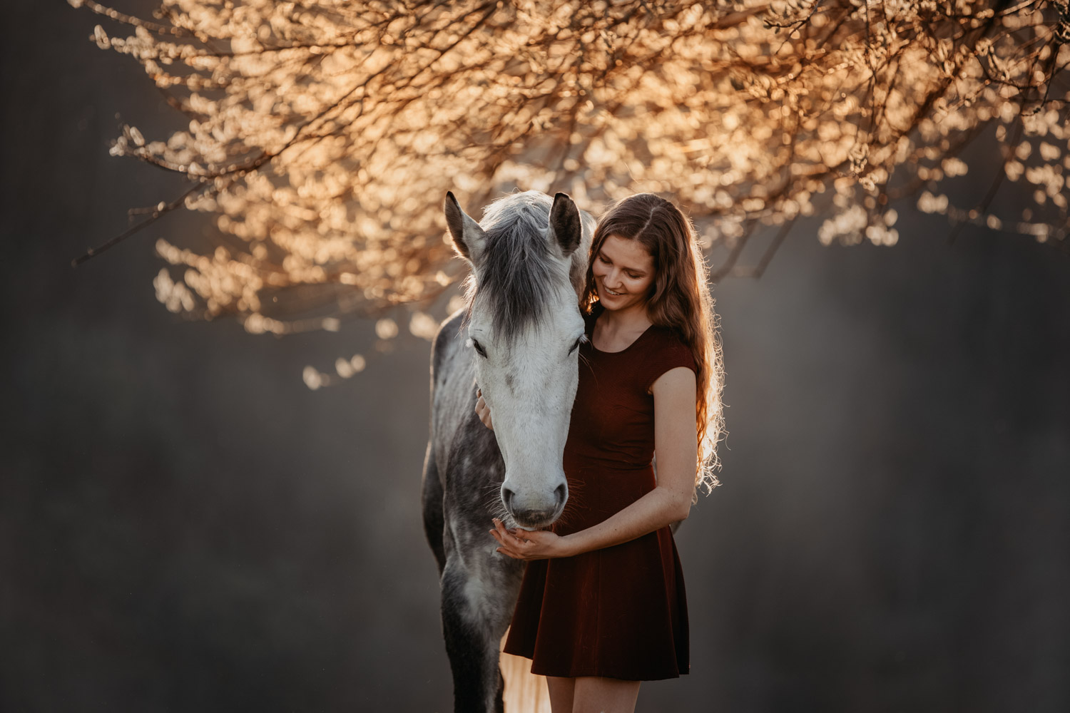 Pferdeshooting Pferdefotografin Schweiz Frühling im Fricktal Gegenlicht Schimmel Pony