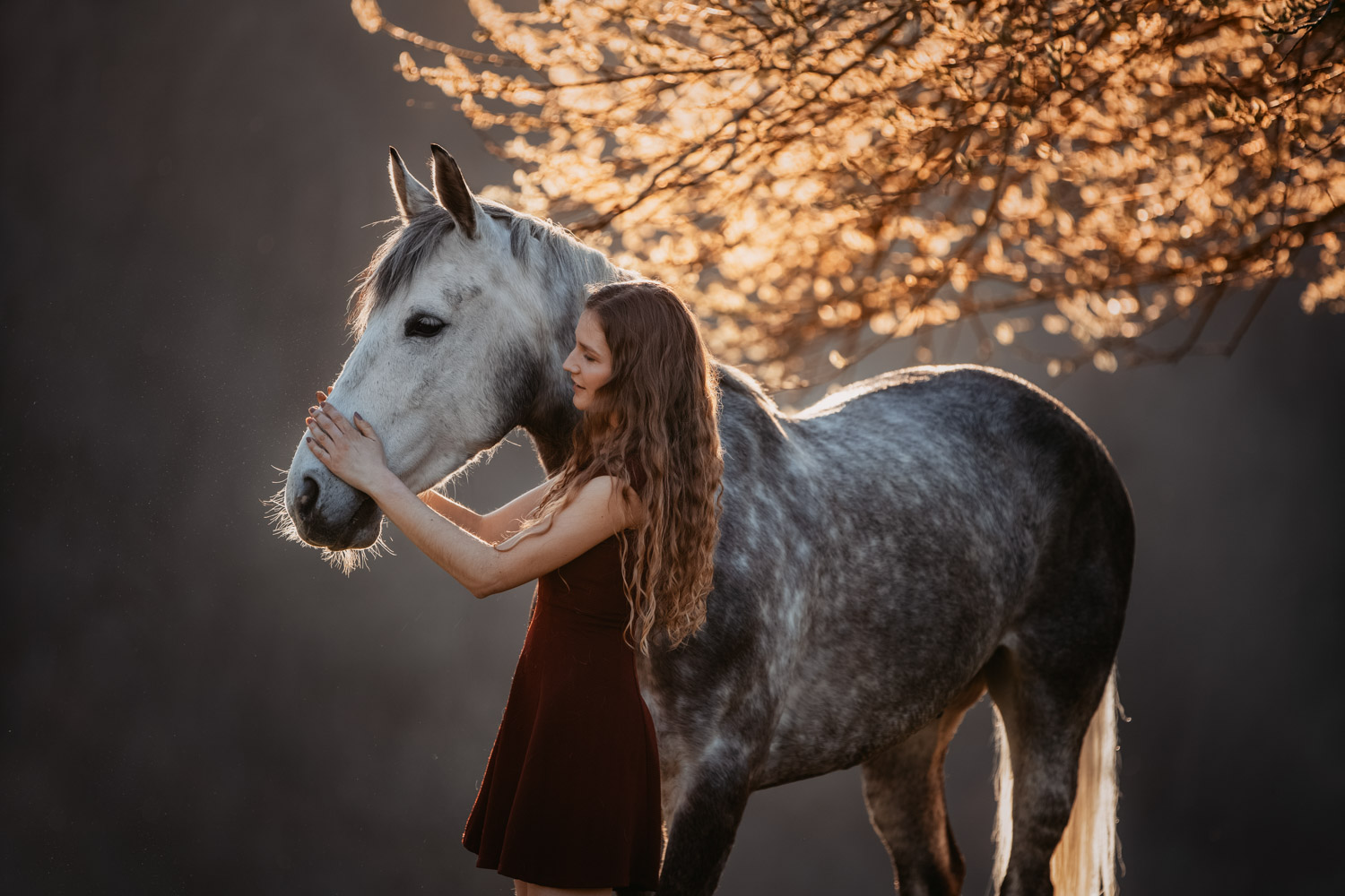 Pferdeshooting Pferdefotografin Schweiz Frühling im Fricktal Gegenlicht Schimmel Pony