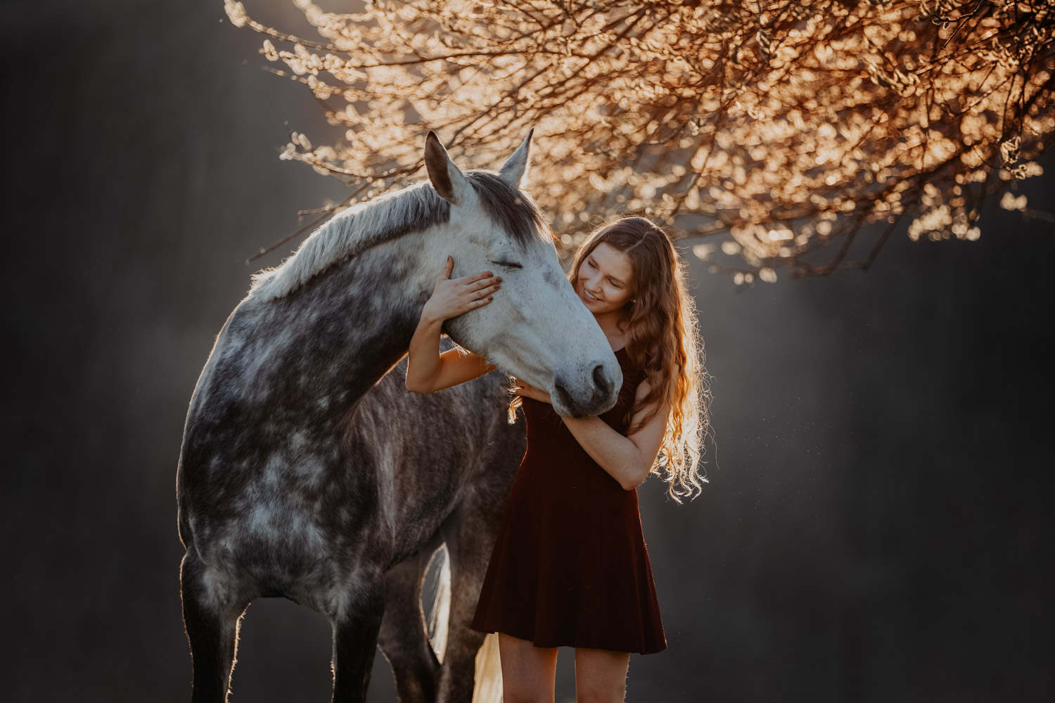 Pferdeshooting Pferdefotografin Schweiz Frühling im Fricktal Gegenlicht Schimmel Pony