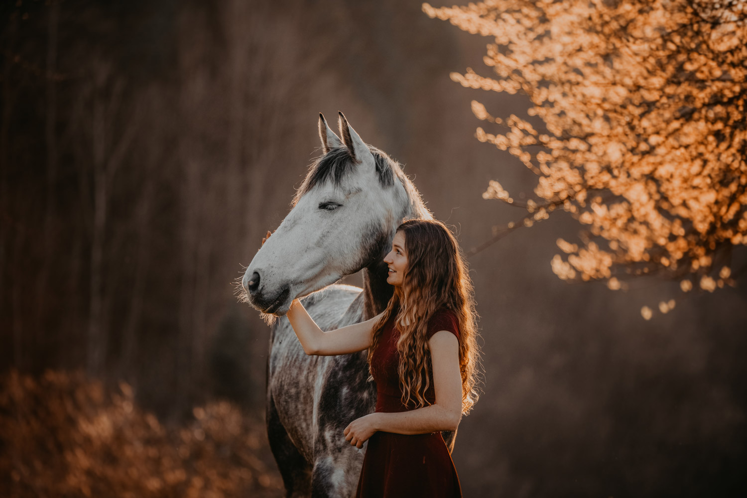 Pferdeshooting Pferdefotografin Schweiz Frühling im Fricktal Gegenlicht Schimmel Pony