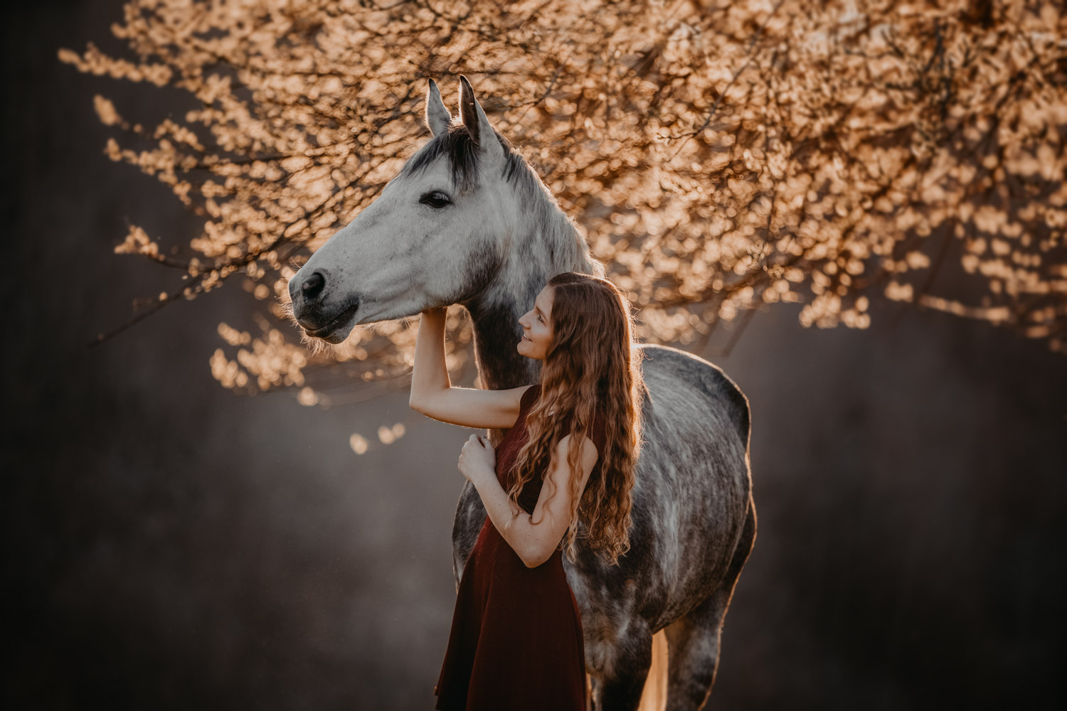 Pferdeshooting Pferdefotografin Schweiz Frühling im Fricktal Gegenlicht Schimmel Pony