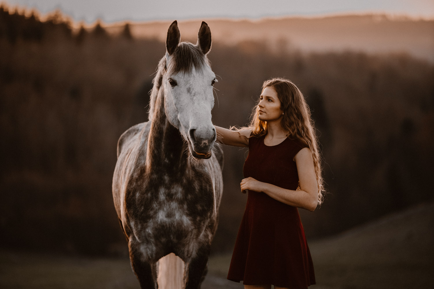 Pferdeshooting Pferdefotografin Schweiz Frühling im Fricktal Gegenlicht Schimmel Pony natürlich ungestellt