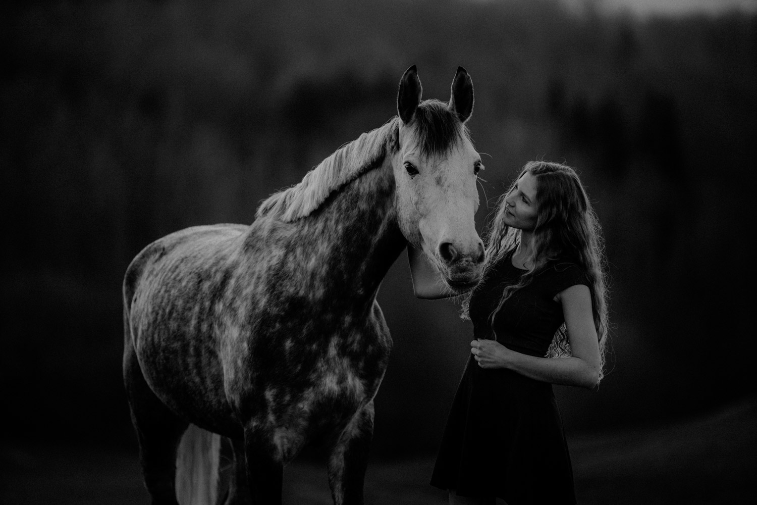 Pferdeshooting Pferdefotografin Schweiz Frühling im Fricktal Gegenlicht Schimmel Pony natürlich ungestellt