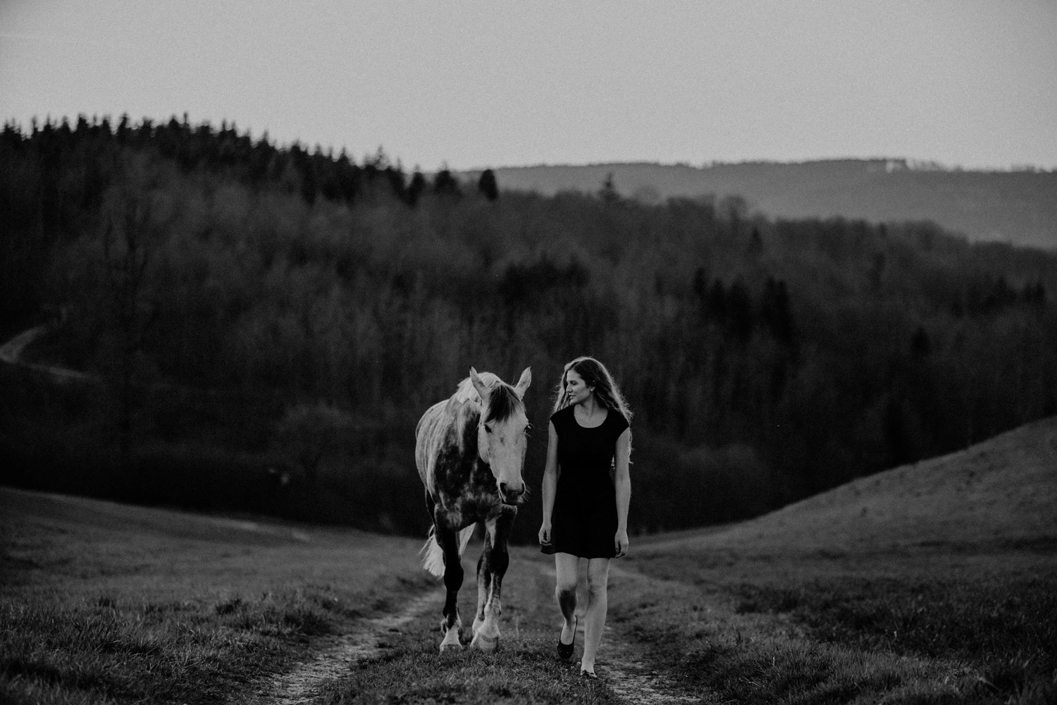 Pferdeshooting Pferdefotografin Schweiz Frühling im Fricktal Gegenlicht Schimmel Pony natürlich ungestellt