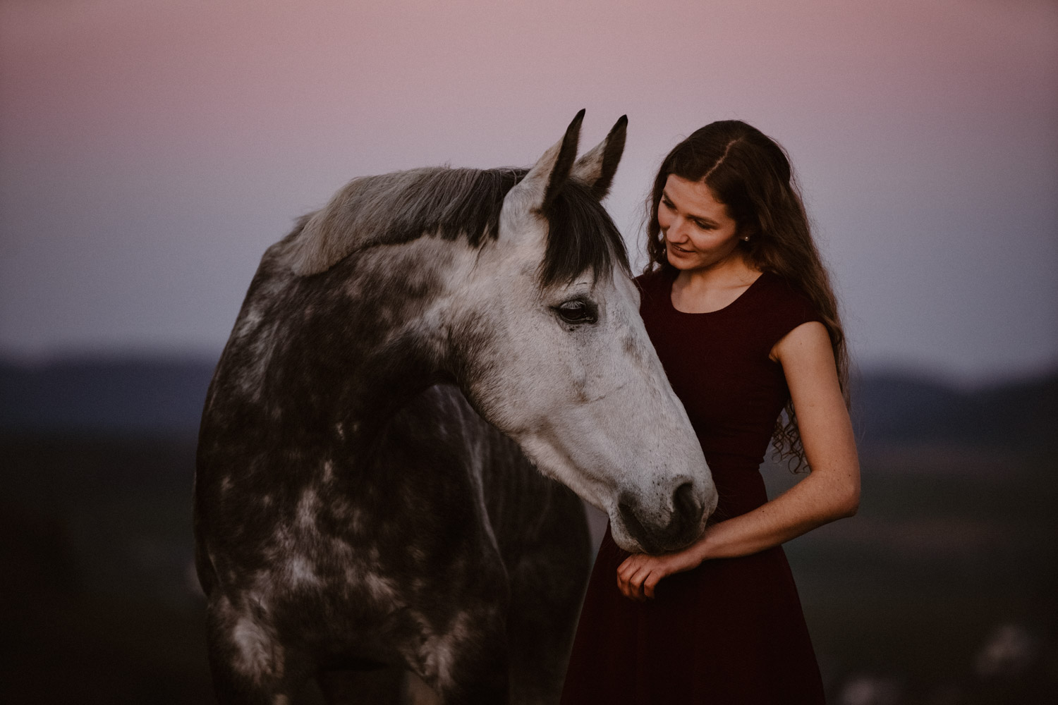 Pferdeshooting Pferdefotografin Schweiz Frühling im Fricktal blue hour Schimmel Pony natürlich ungestellt Sonnenuntergang