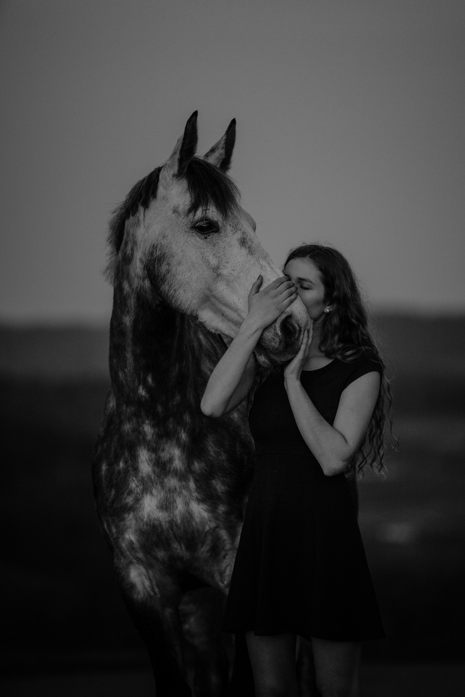 Pferdeshooting Pferdefotografin Schweiz Frühling im Fricktal blue hour Schimmel Pony natürlich ungestellt Sonnenuntergang