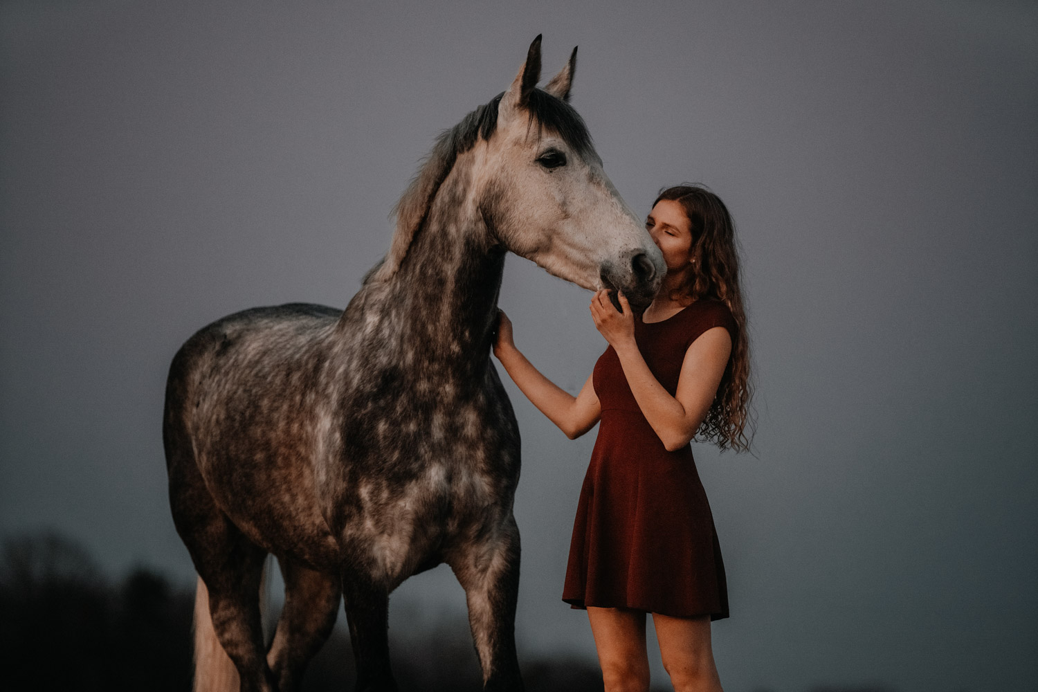 Pferdeshooting Pferdefotografin Schweiz Frühling im Fricktal blue hour Schimmel Pony natürlich ungestellt Sonnenuntergang