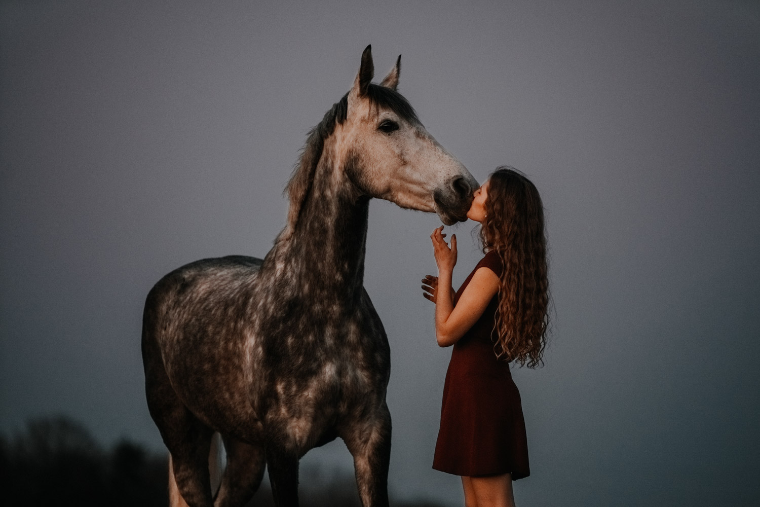 Pferdeshooting Pferdefotografin Schweiz Frühling im Fricktal blue hour Schimmel Pony natürlich ungestellt Sonnenuntergang