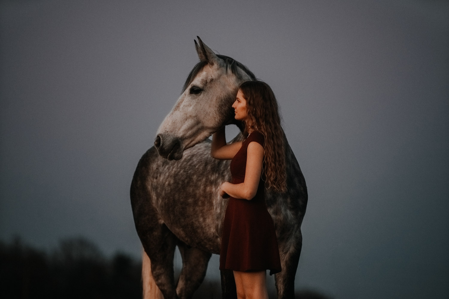 Pferdeshooting Pferdefotografin Schweiz Frühling im Fricktal blue hour Schimmel Pony natürlich ungestellt Sonnenuntergang