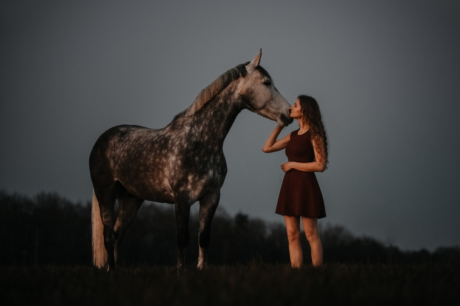 Pferdeshooting Pferdefotografin Schweiz Frühling im Fricktal blue hour Schimmel Pony natürlich ungestellt Sonnenuntergang