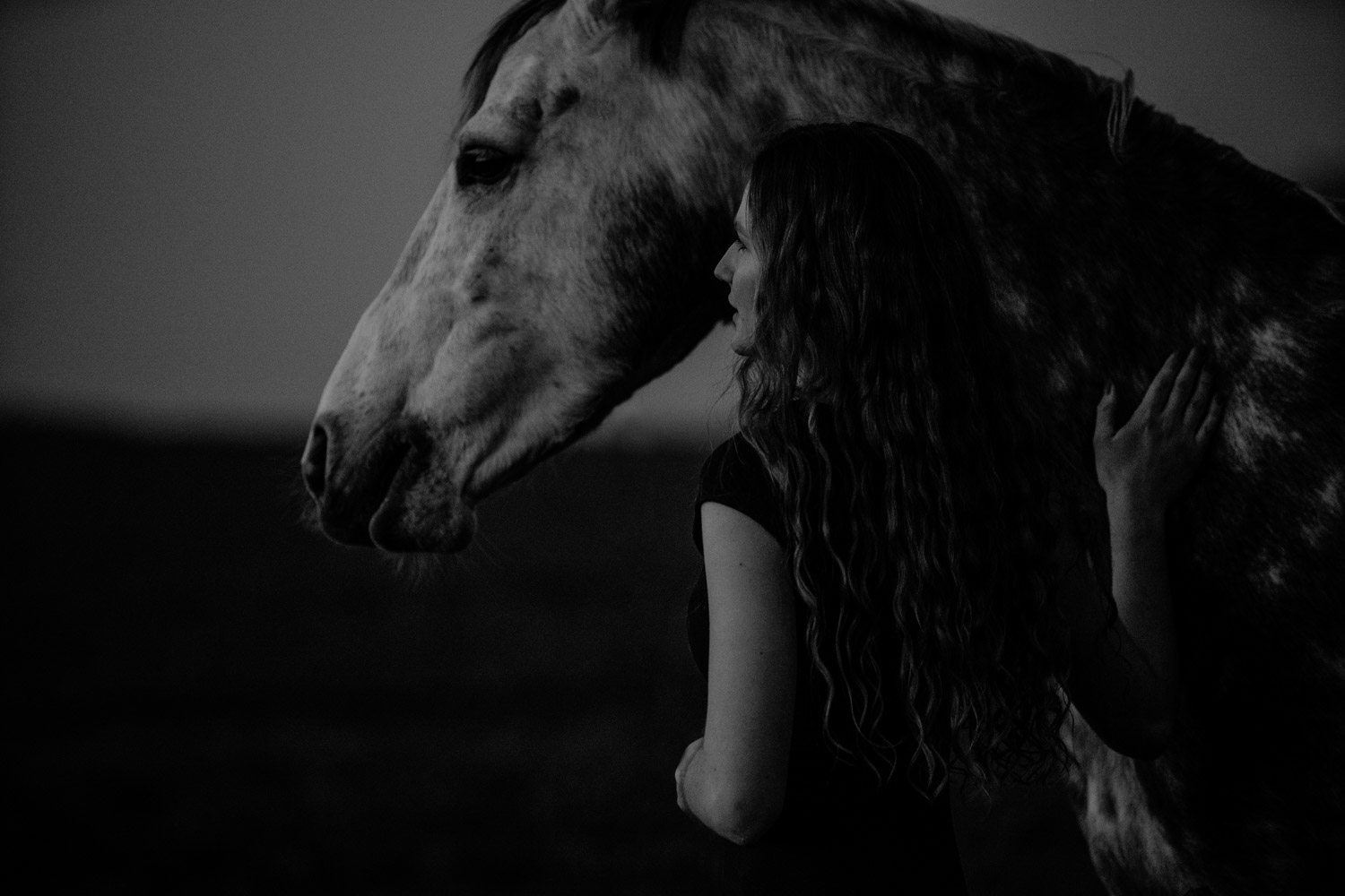 Pferdeshooting Pferdefotografin Schweiz Frühling im Fricktal blue hour Schimmel Pony natürlich ungestellt Sonnenuntergang