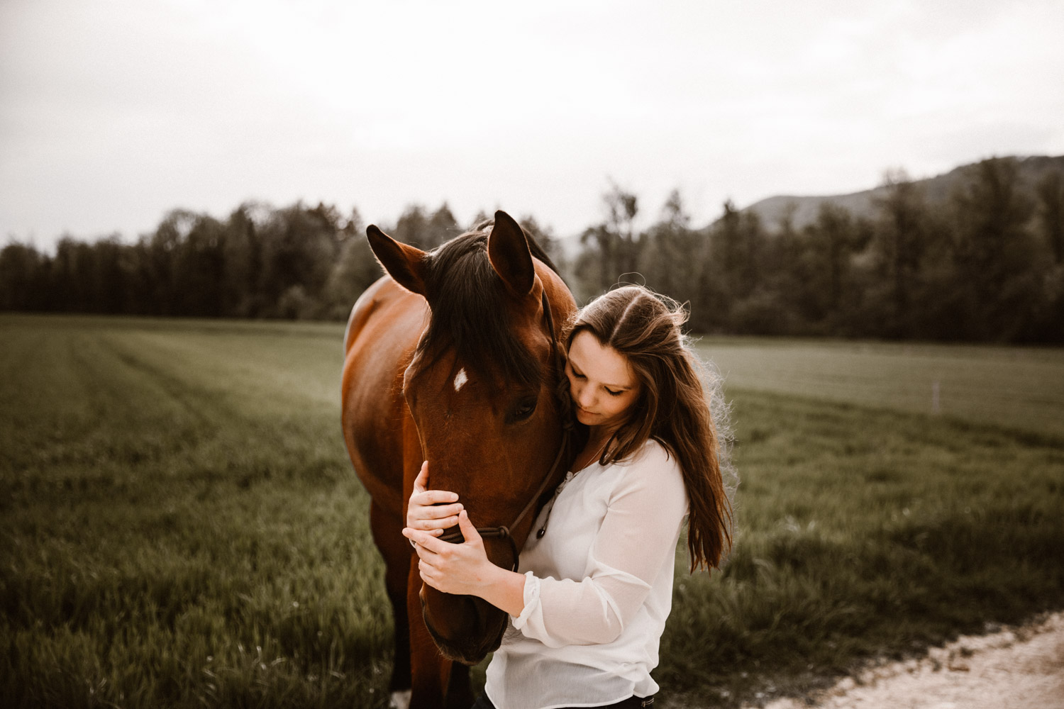 Presets für Pferdefotografie und Hundefotografie Presets for Horse, Dog and Animal Photography Lightroom Photoshop Tierfotografie Bildbearbeitung Filter Vorher Nachher