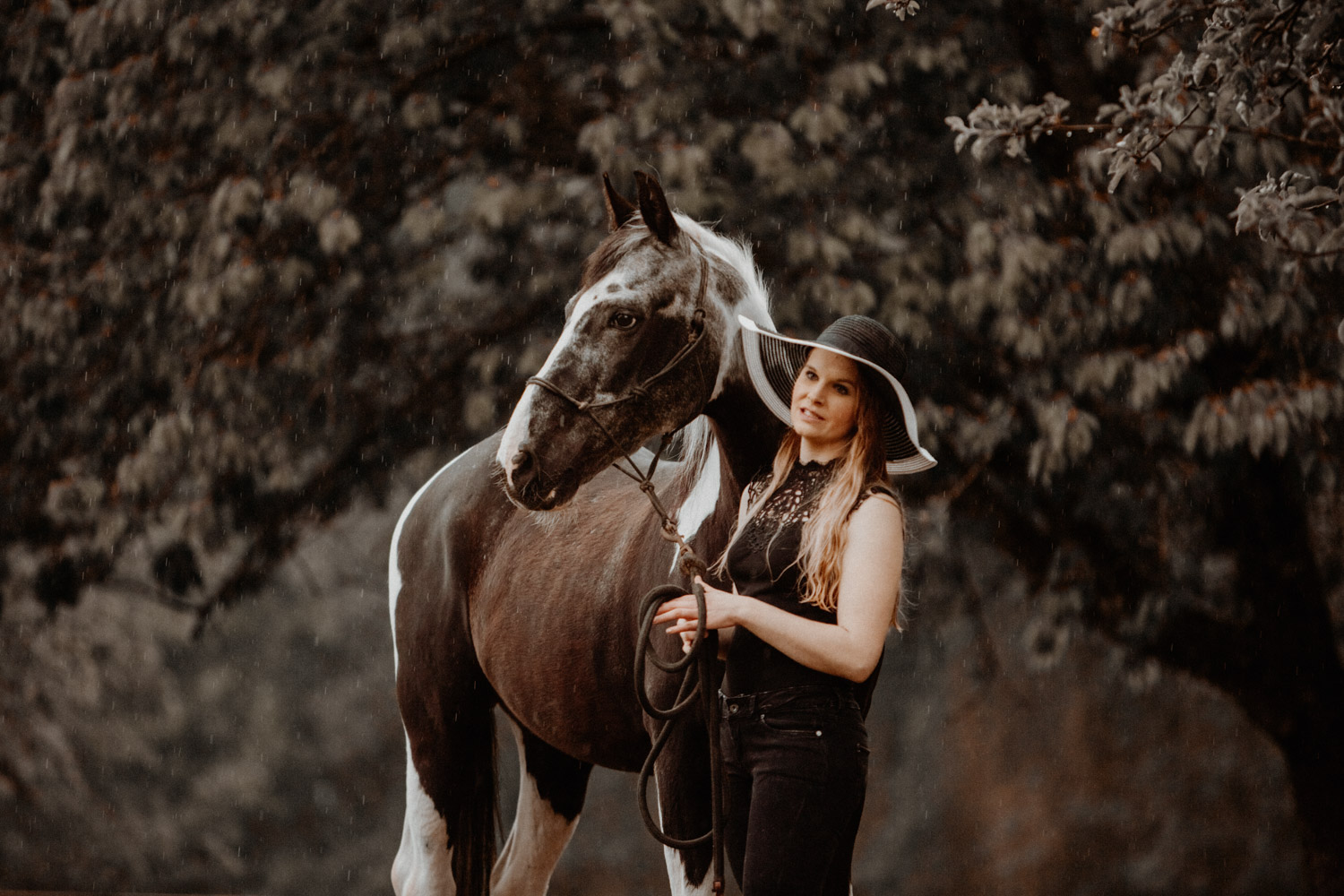 Presets for Horse, Dog and Animal Photography - Lightroom & Photoshop