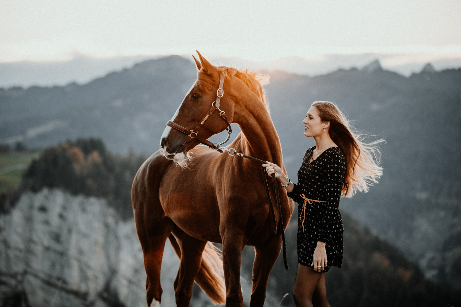 ENG - Lightroom & Photoshop Presets for animal, horse and dog ...