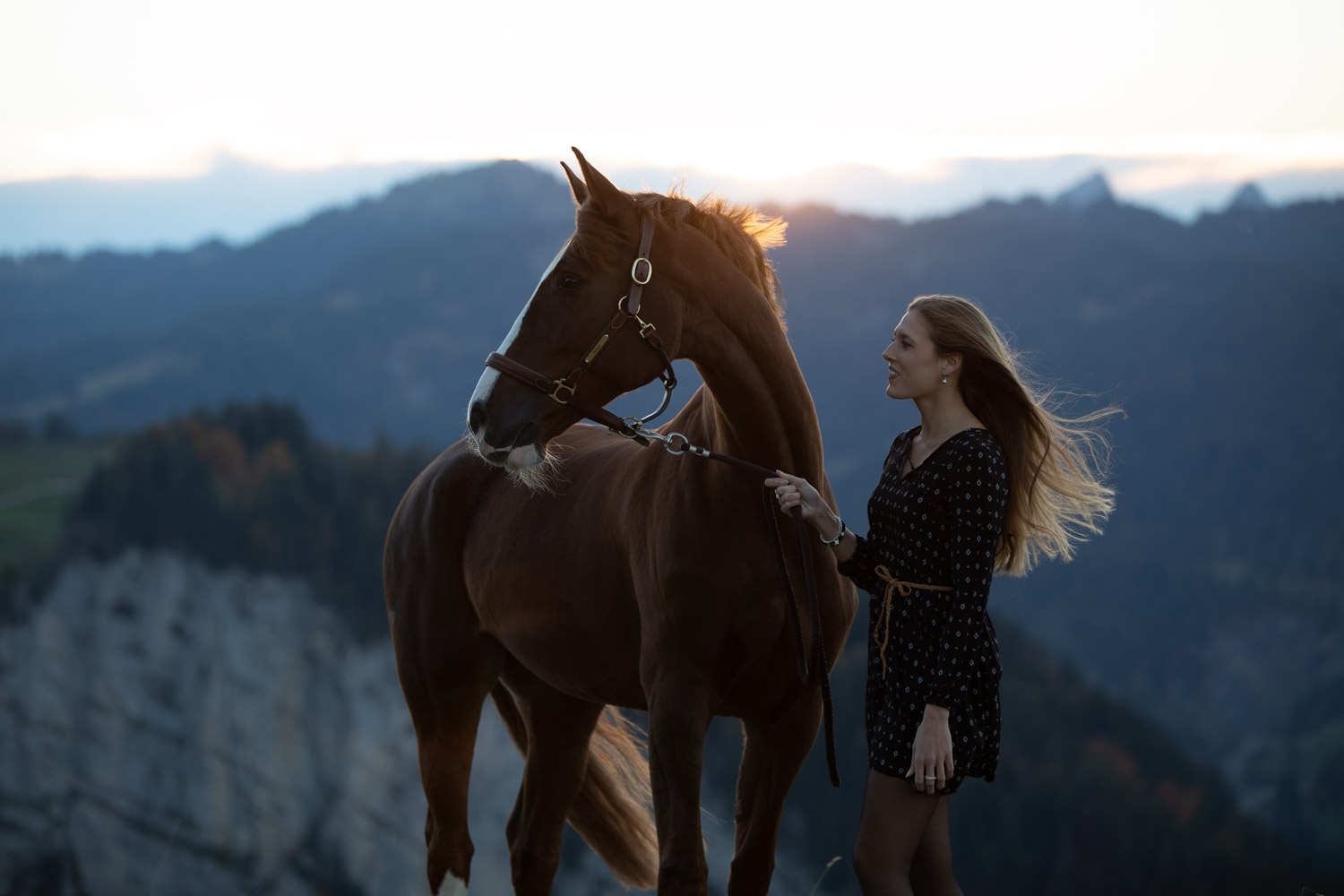 Presets für Pferdefotografie und Hundefotografie Presets for Horse, Dog and Animal Photography Lightroom Photoshop Tierfotografie Bildbearbeitung Filter Vorher Nachher