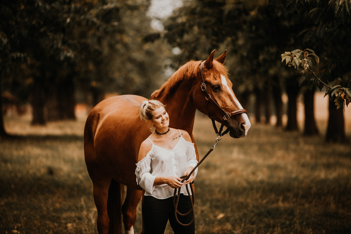 ENG - Lightroom & Photoshop Presets for animal, horse and dog ...