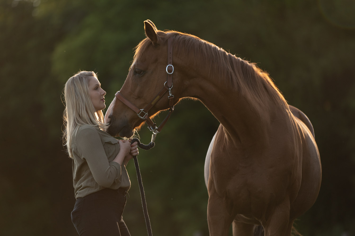 Tips and tricks for editing horse photography images
