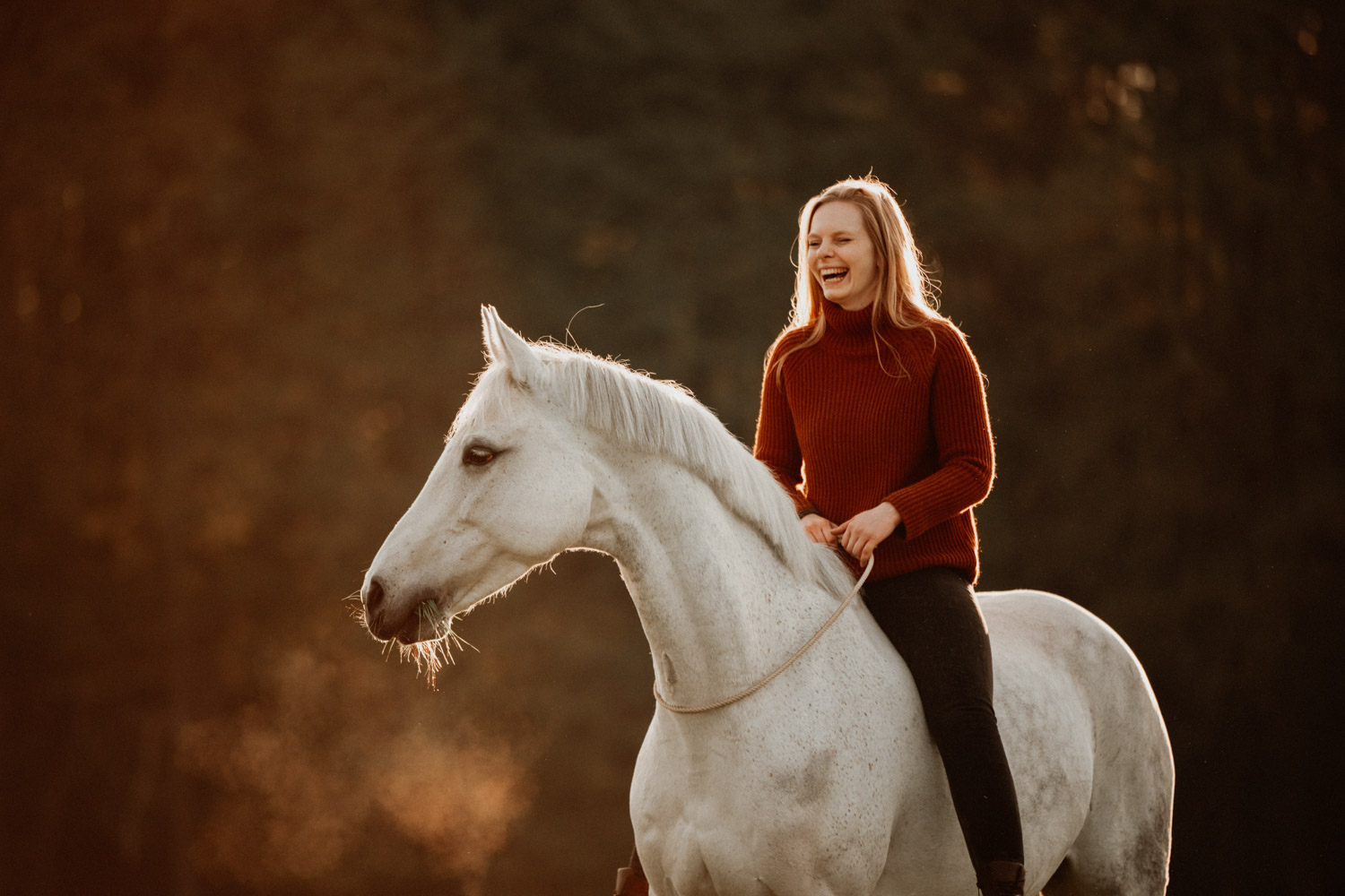 Tips and tricks for editing horse photography with Adobe Lightroom or Photoshop presets