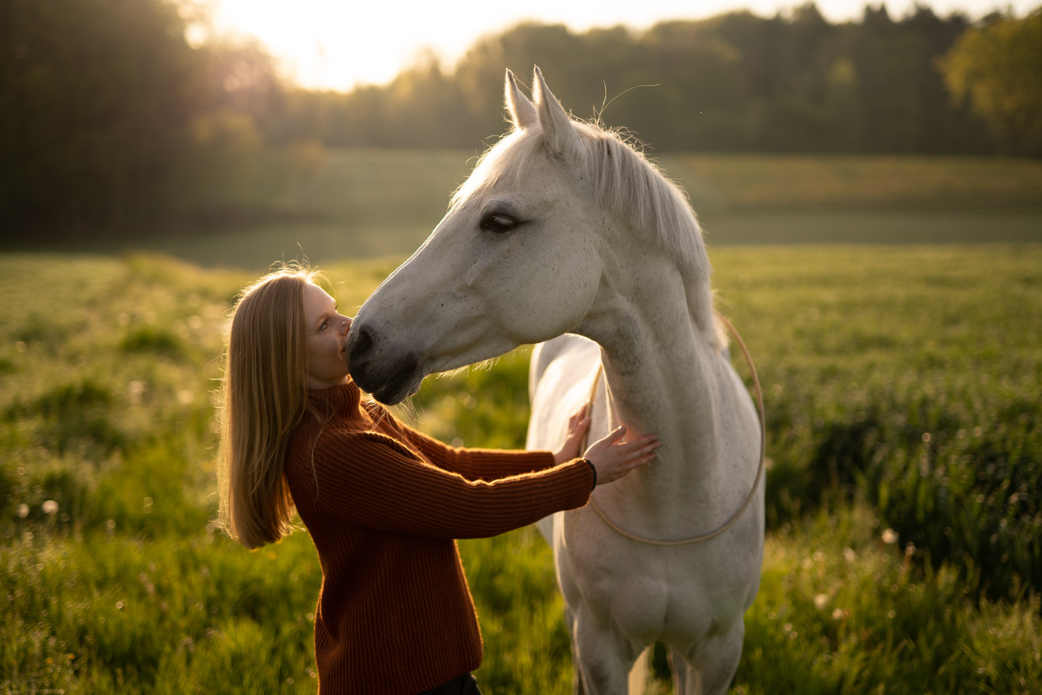 Before and After example for Horse Photography Lightroom Presets